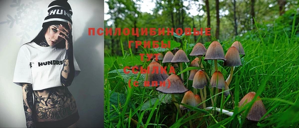 соль ск Нефтегорск