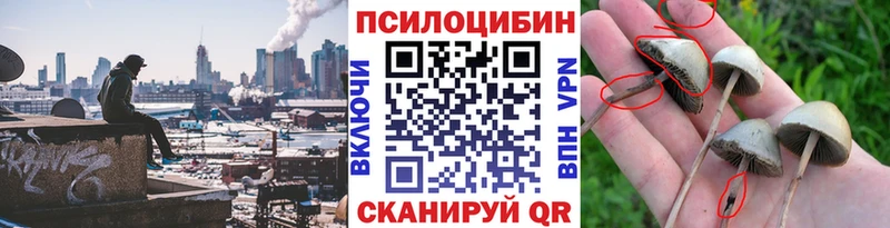 Галлюциногенные грибы Magic Shrooms  даркнет сайт  Александровск-Сахалинский 